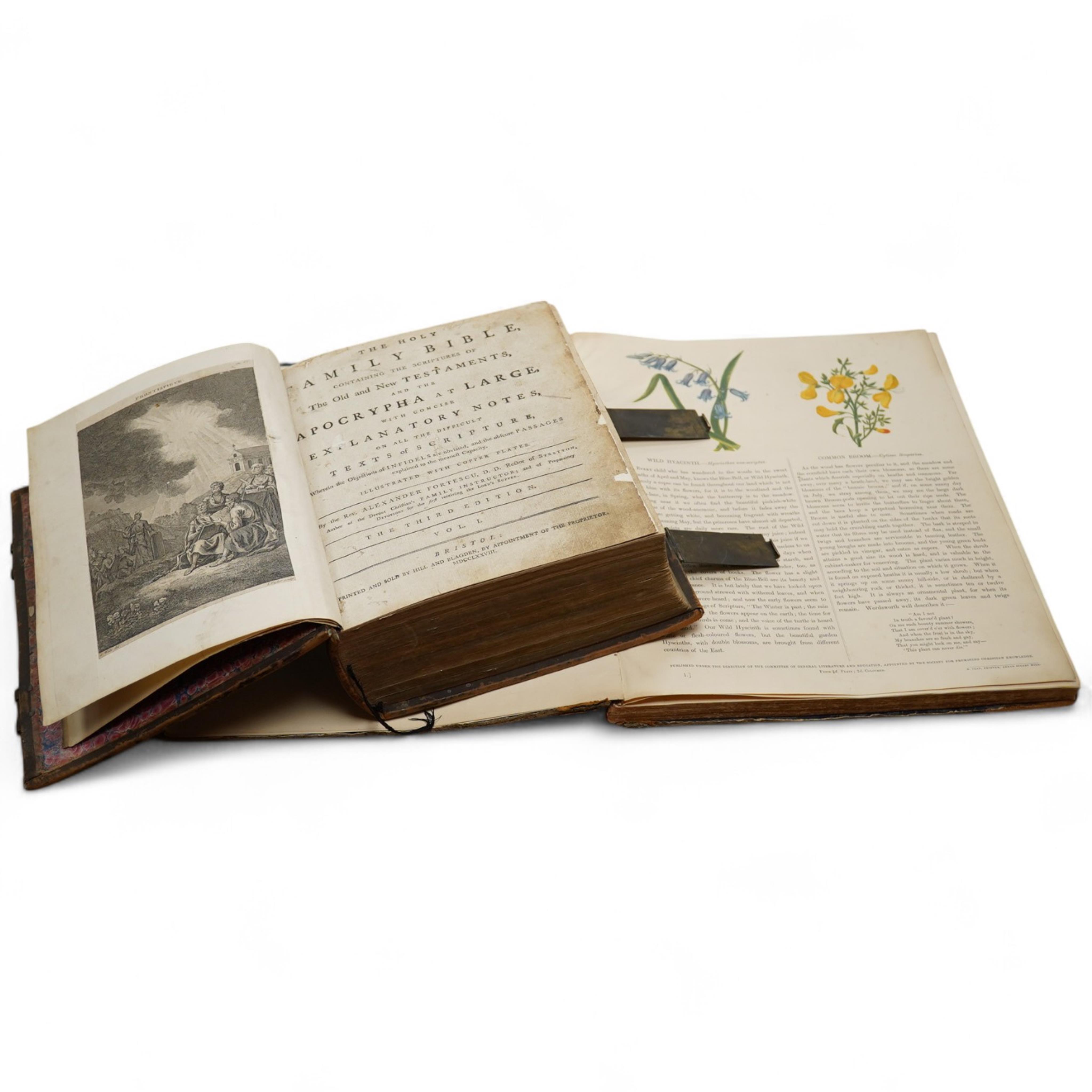 [BIBLE] The Holy Family Bible ... with concise explanatory notes ... by The Rev. Alexander Fortestcu. 3rd edition, 2 vols (in one). engraved plates, old mottled calf, panelled spine and red label, cover bosses and with c